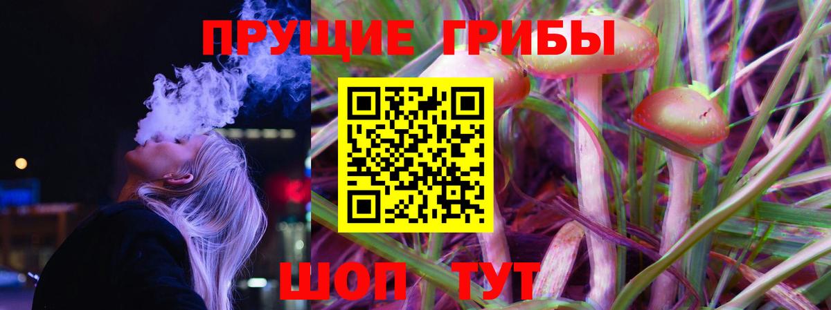 Галлюциногенные грибы Psilocybine cubensis Нефтеюганск
