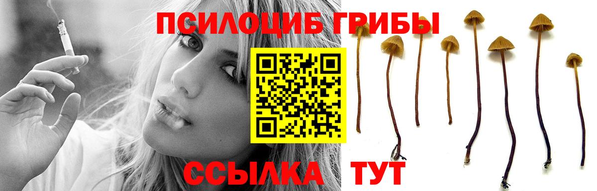 Псилоцибиновые грибы Magic Shrooms  Вход с VPN  Нефтеюганск  Галлюциногенные грибы Psilocybe 